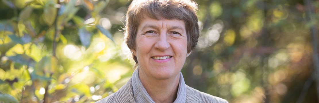 Elisabet Falemo, Generaldirektör på Elsäkerhetsverket.