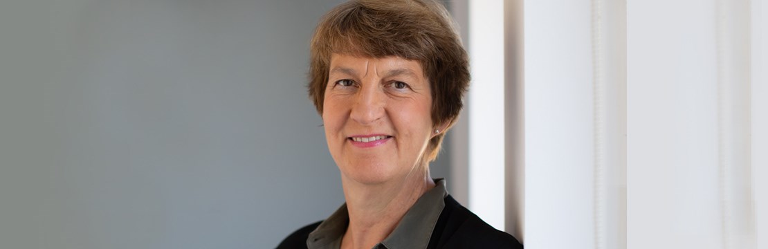Elisabet Falemo, Elsäkerhetsverkets generaldirektör.