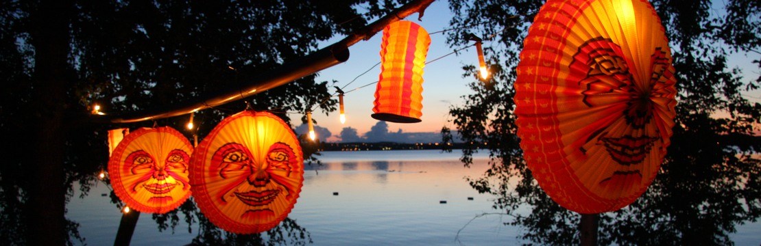 Lampion im Baum, Paper lamp in a tree in a garden