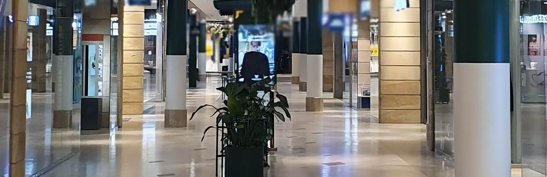 Ett tomt köpcentrum med en växt i mitten