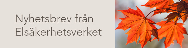 Nyhetsbrev från Elsäkerhetsverket